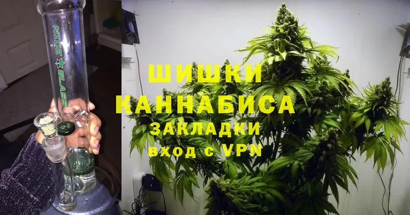 купить   Ногинск  Каннабис White Widow 